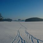 Schneelandschaft