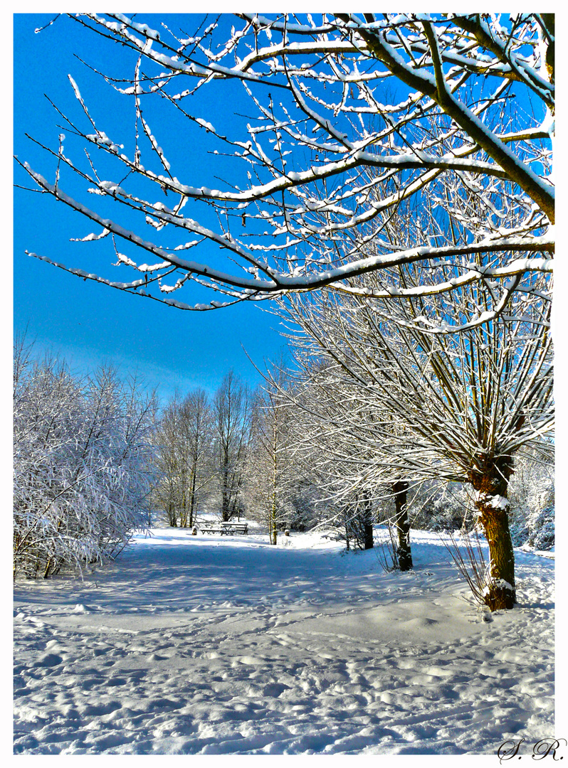 Schneelandschaft