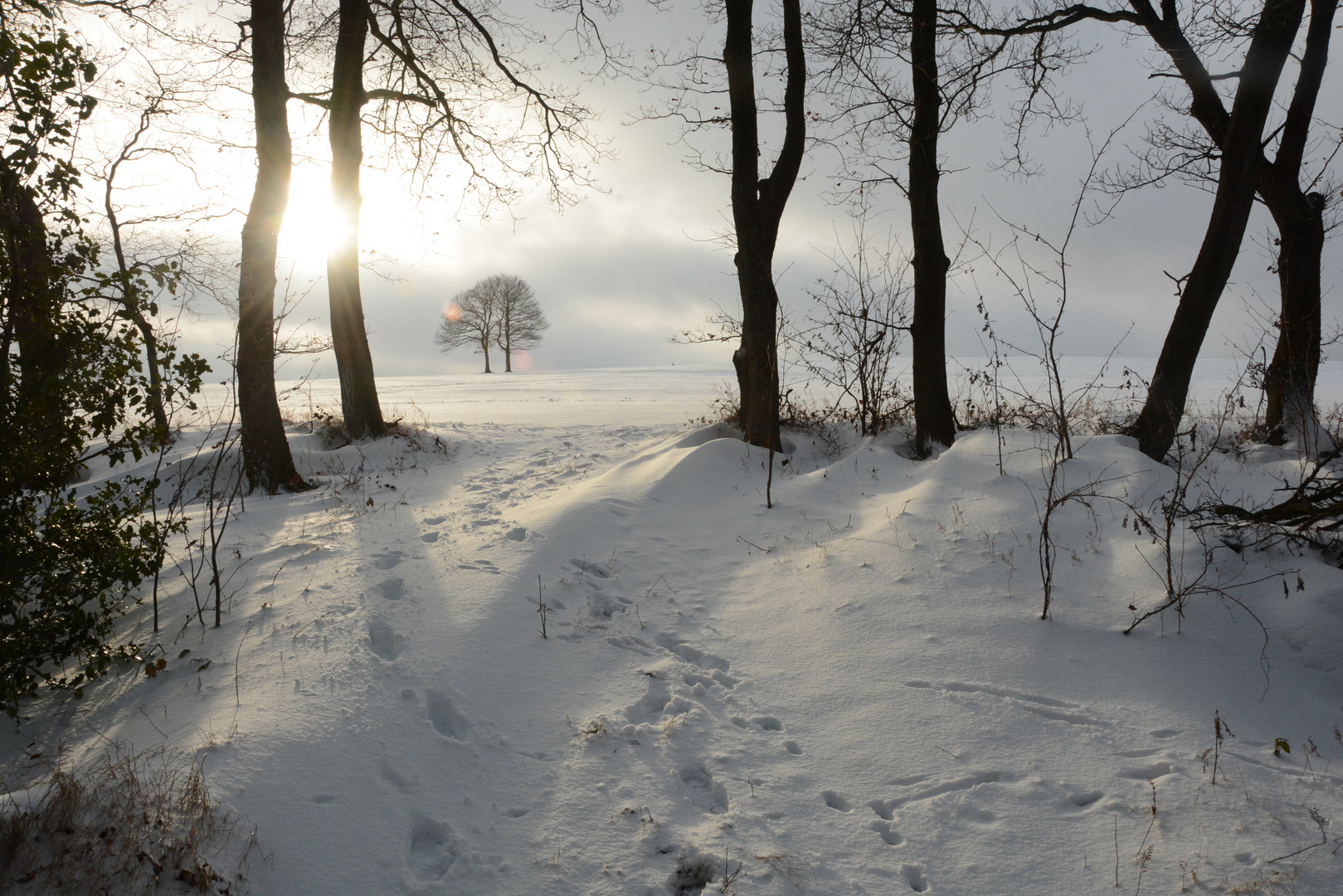 Schneelandschaft