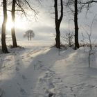 Schneelandschaft