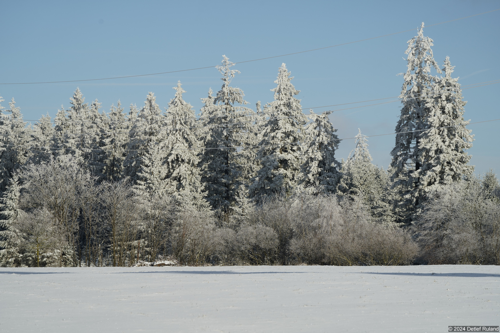 Schneelandschaft #1