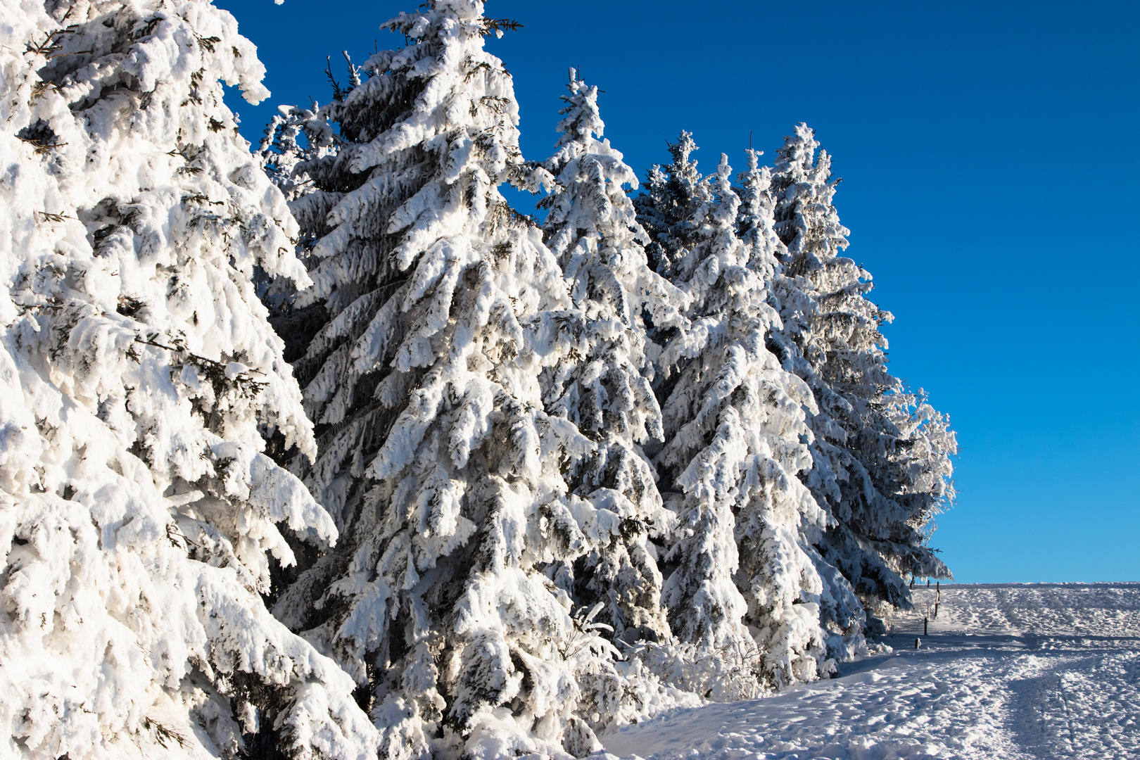 Schneelandschaft 1