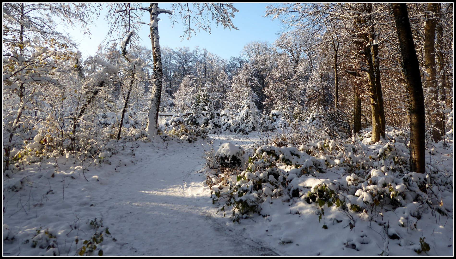 Schneelandschaft 1