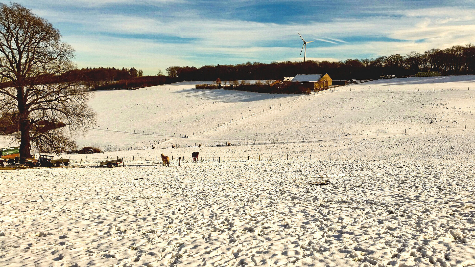 Schneelandschaft 