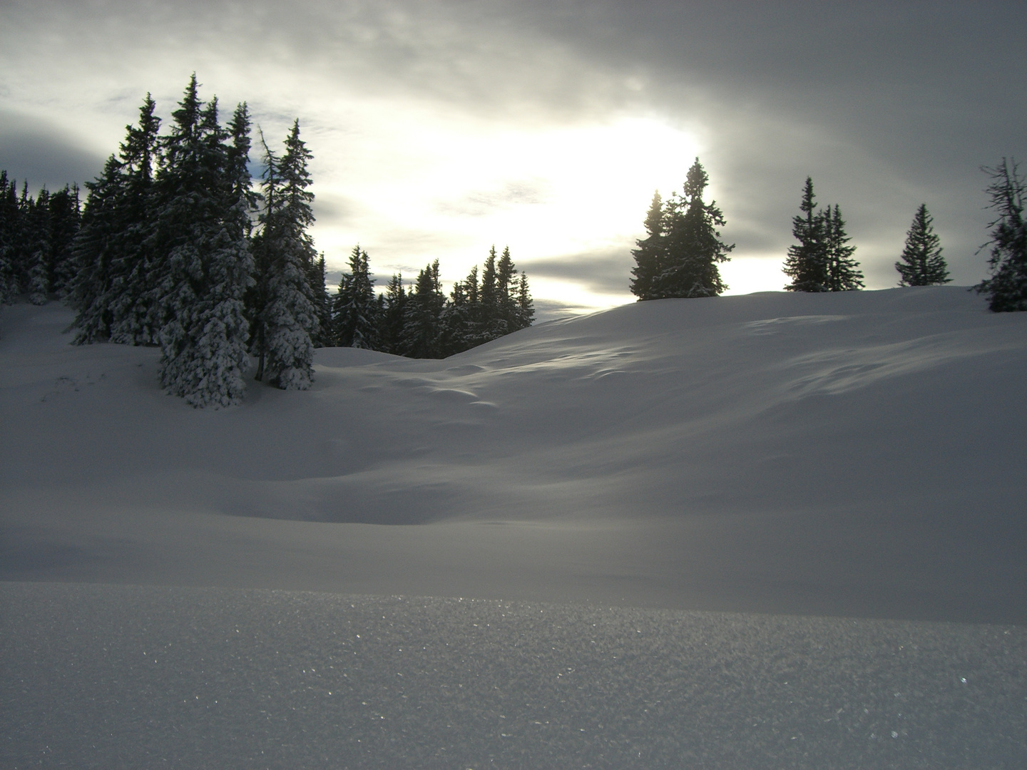 schneelandschaft