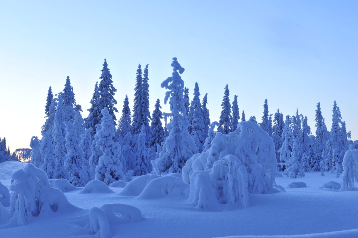 Schneelandschaft Foto & Bild  landschaft, natur Bilder auf fotocommunity