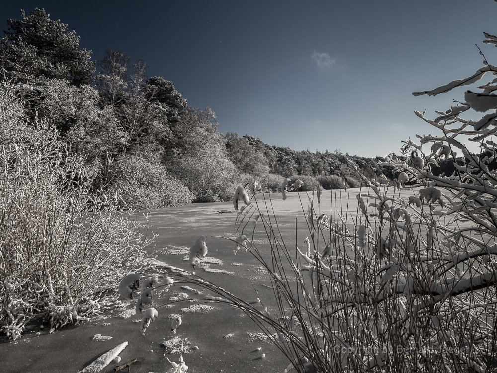 Schneelandschaft