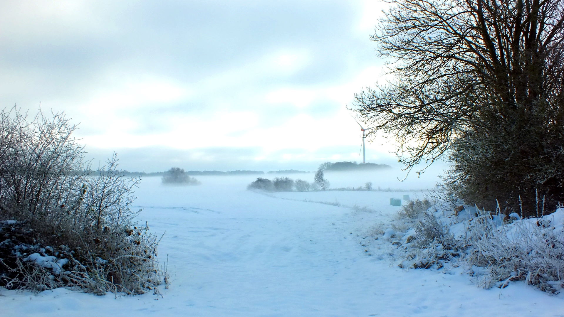 Schneelandschaft