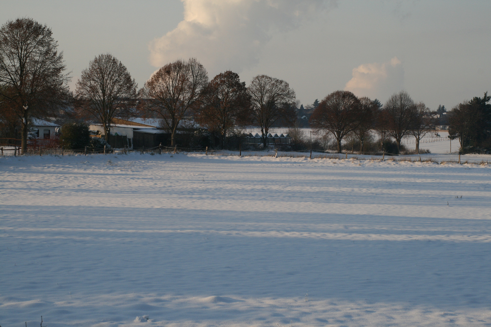 Schneelandschaft