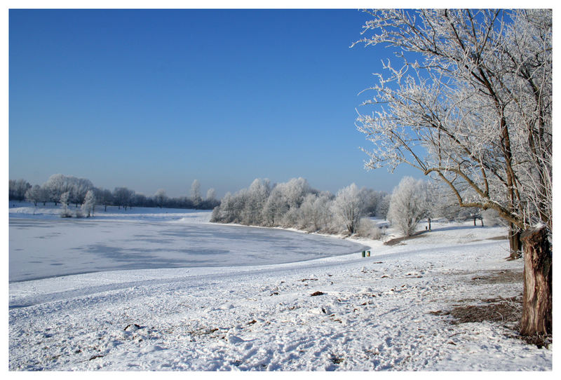 Schneelandschaft