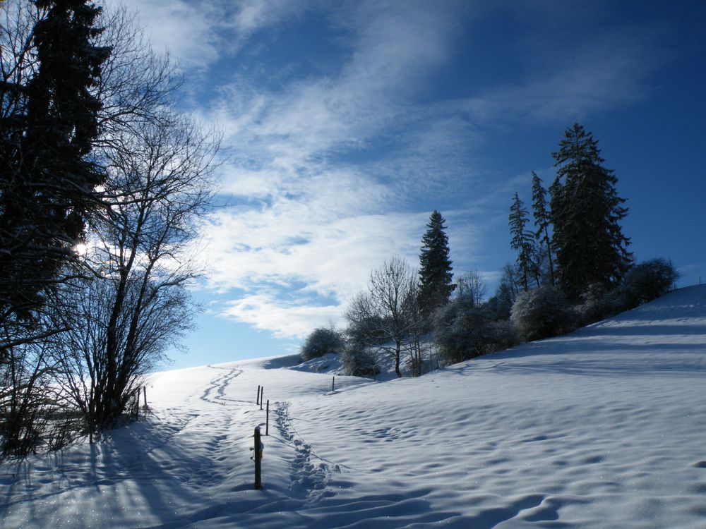 Schneelandschaft Foto & Bild hell, blau, sonne Bilder auf