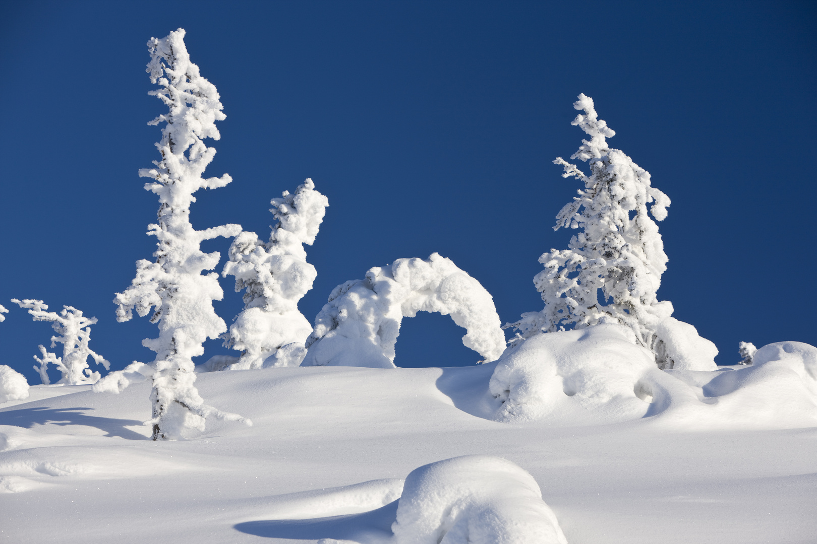 Schneelandschaft Foto & Bild  jahreszeiten, winter, natur Bilder auf 