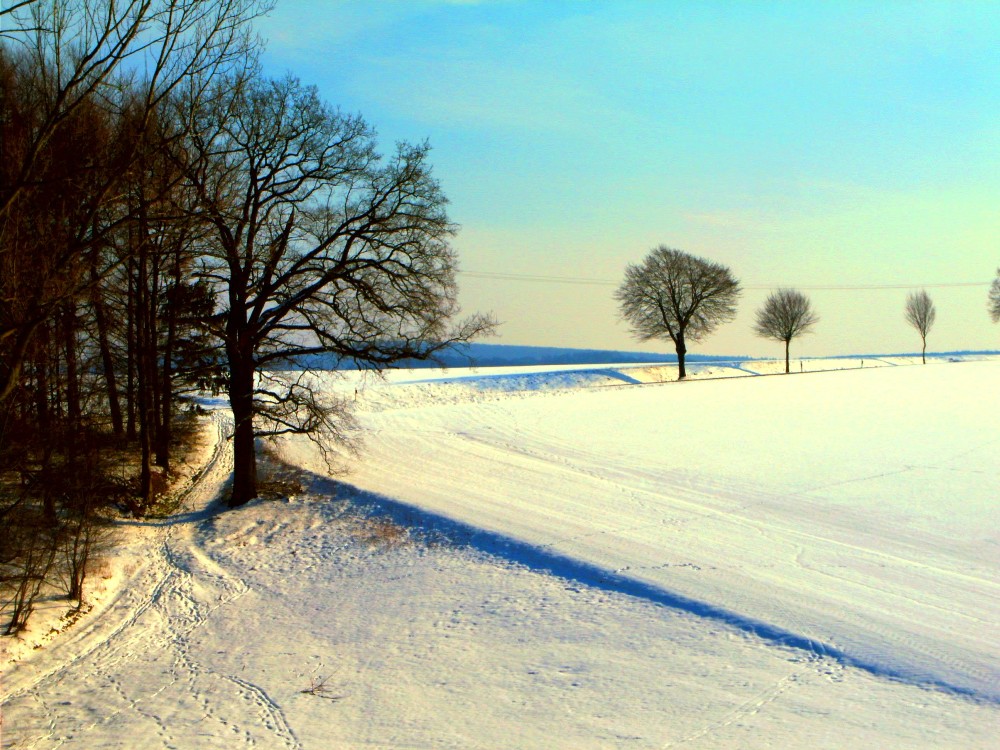 Schneelandschaft