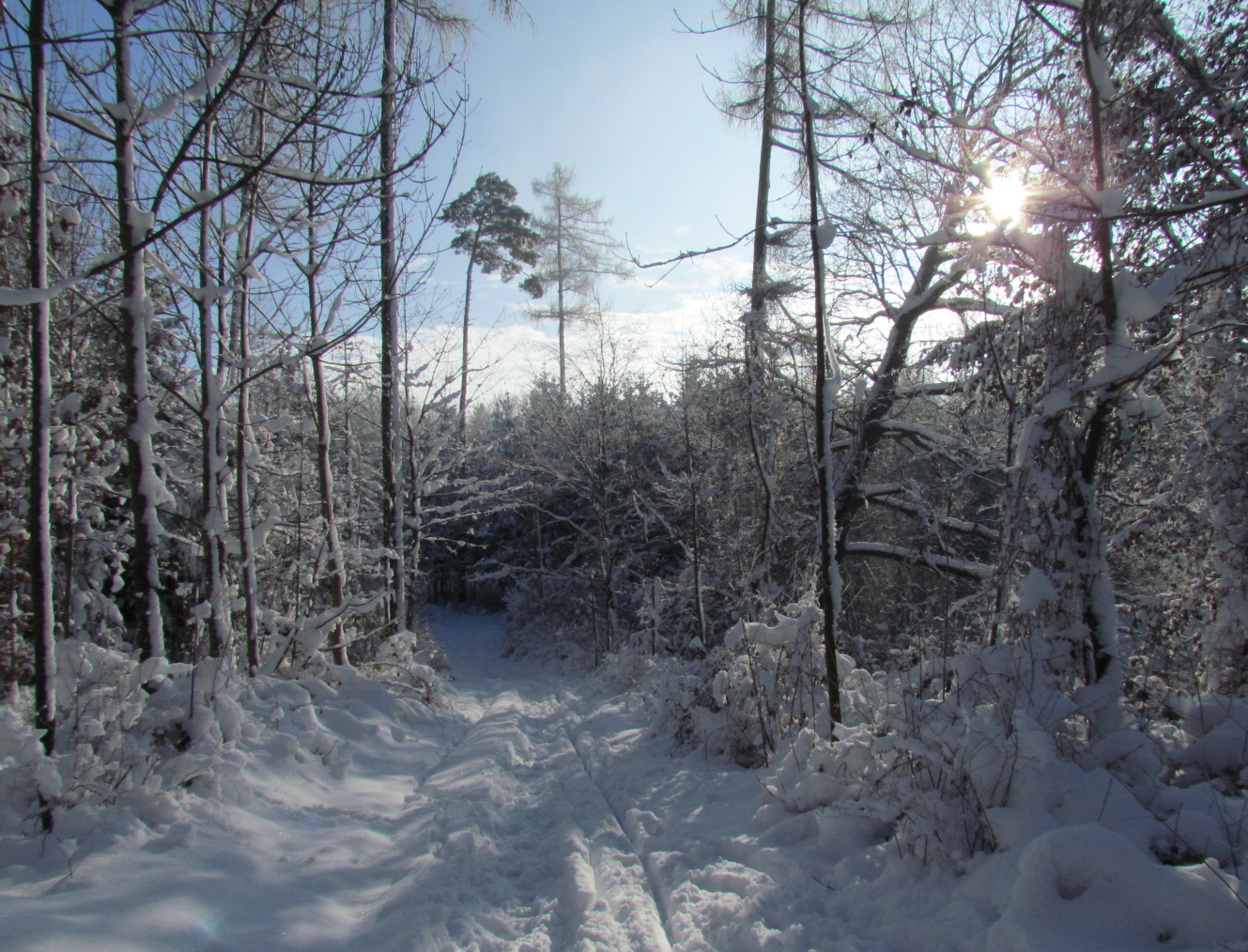 Schneelandschaft 2