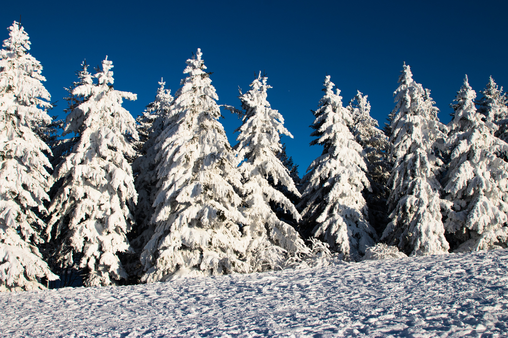 Schneelandschaft 2