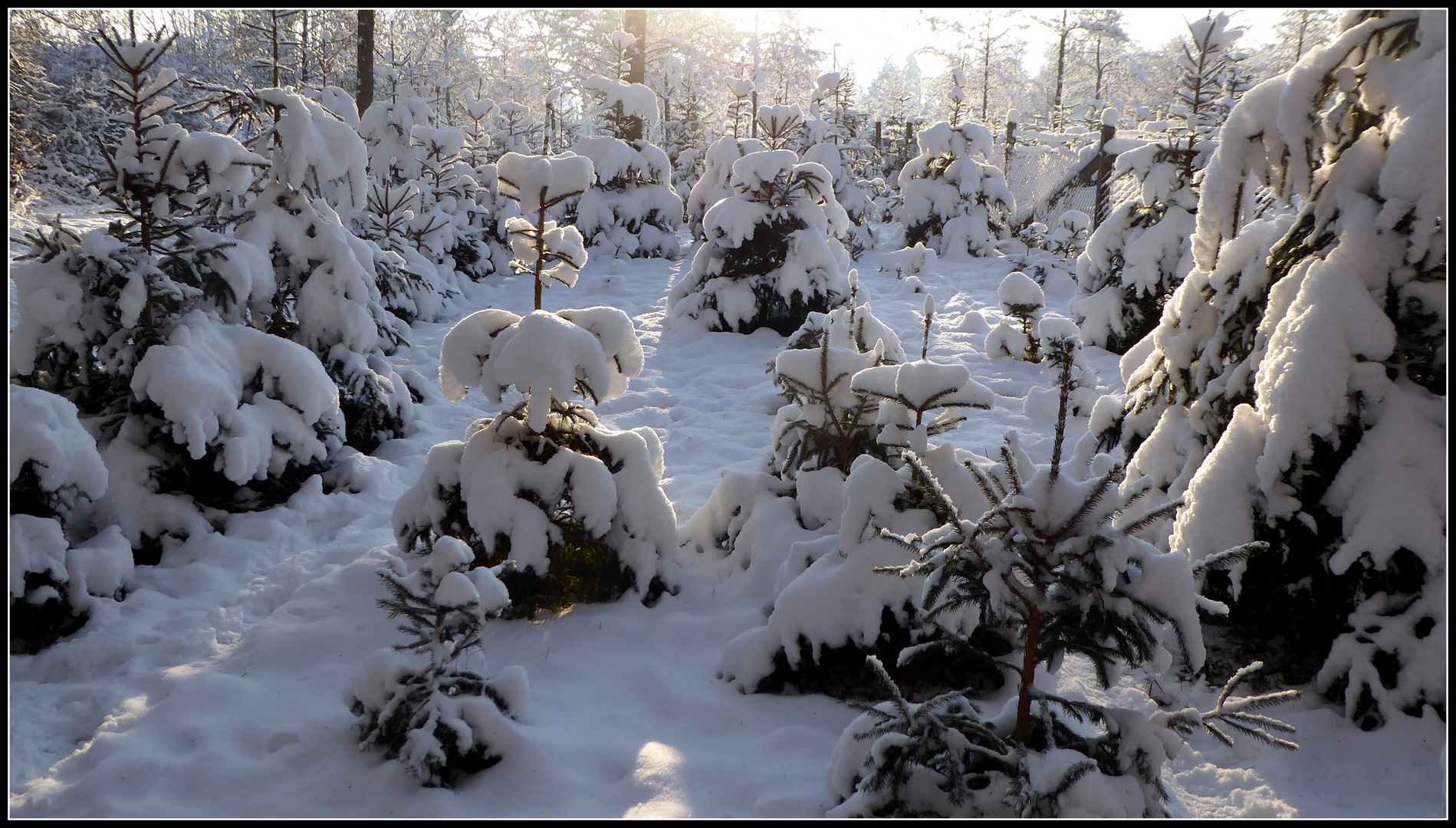 Schneelandschaft 2