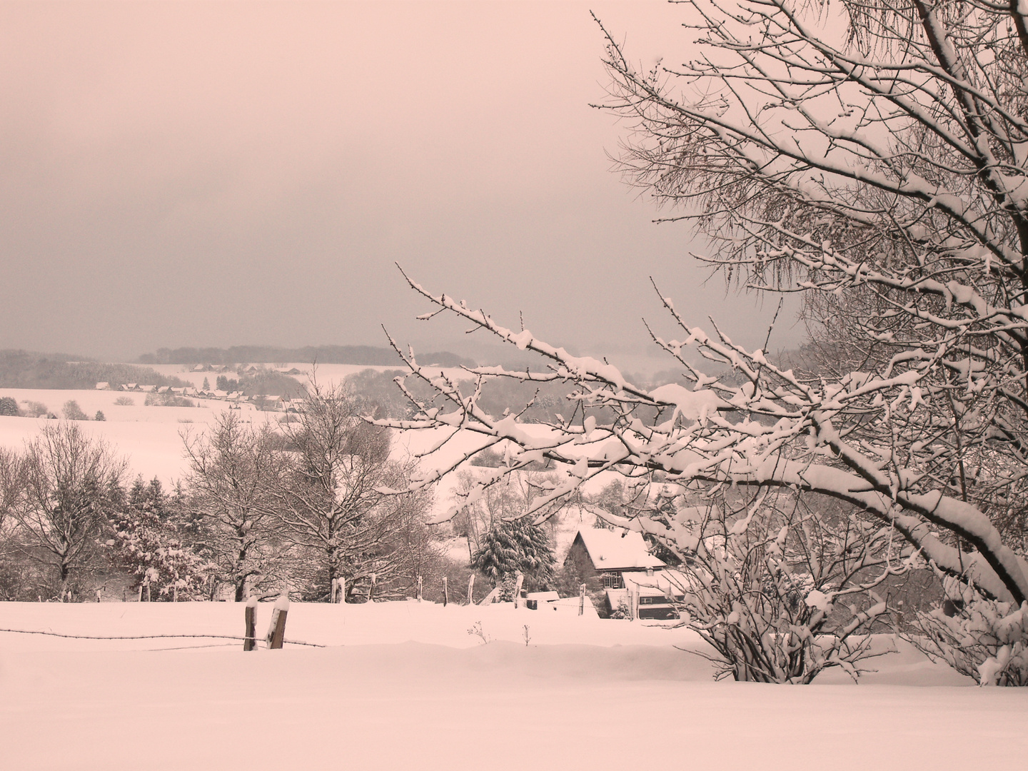 Schneelandschaft 2010