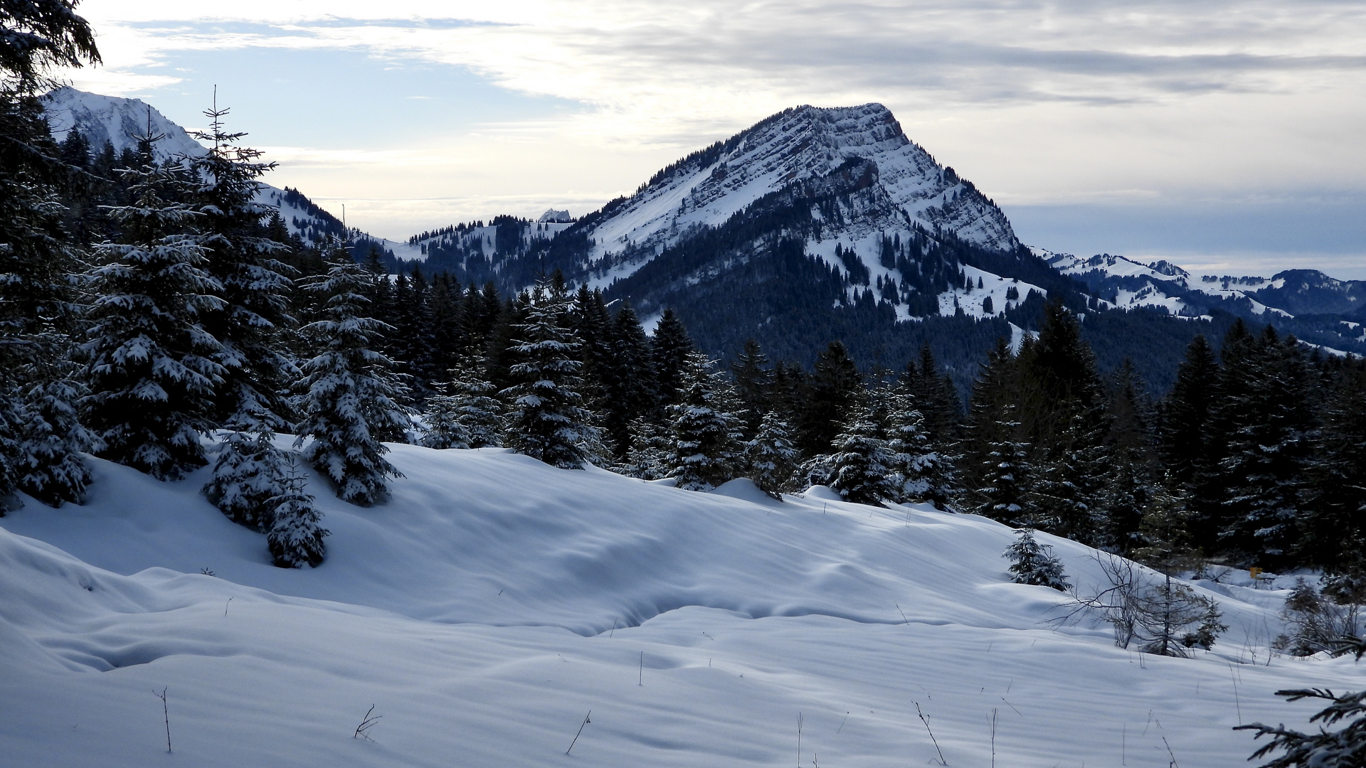 Schneelandschaft 2019