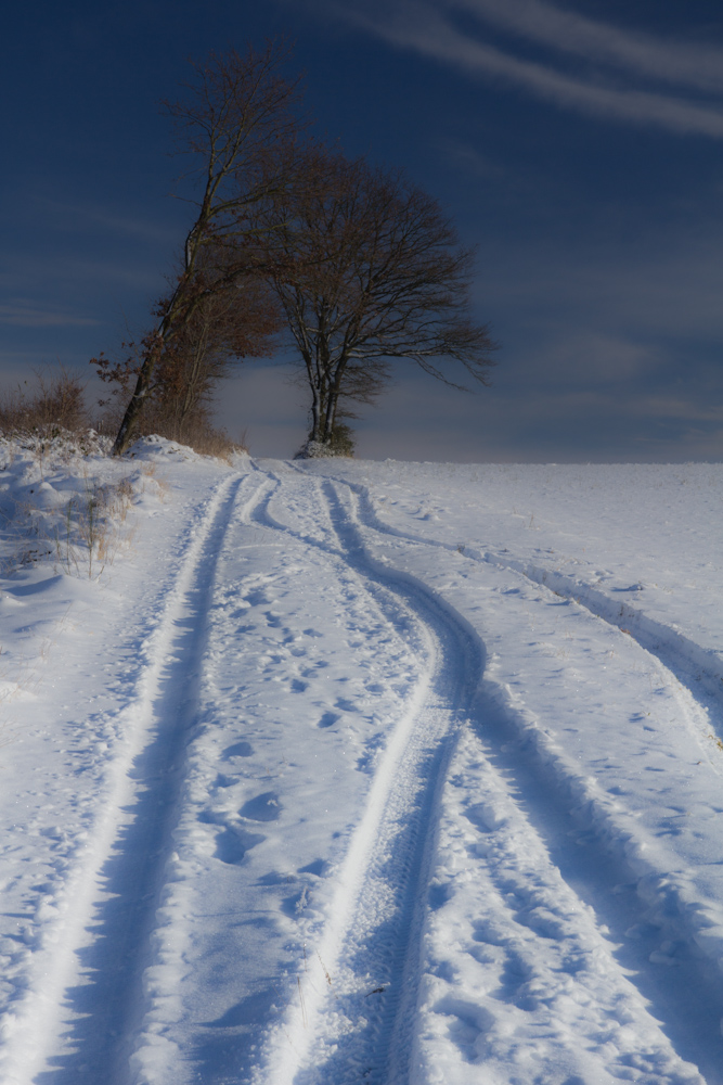 Schneelandschaft