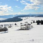 Schneelandschaft