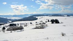 Schneelandschaft