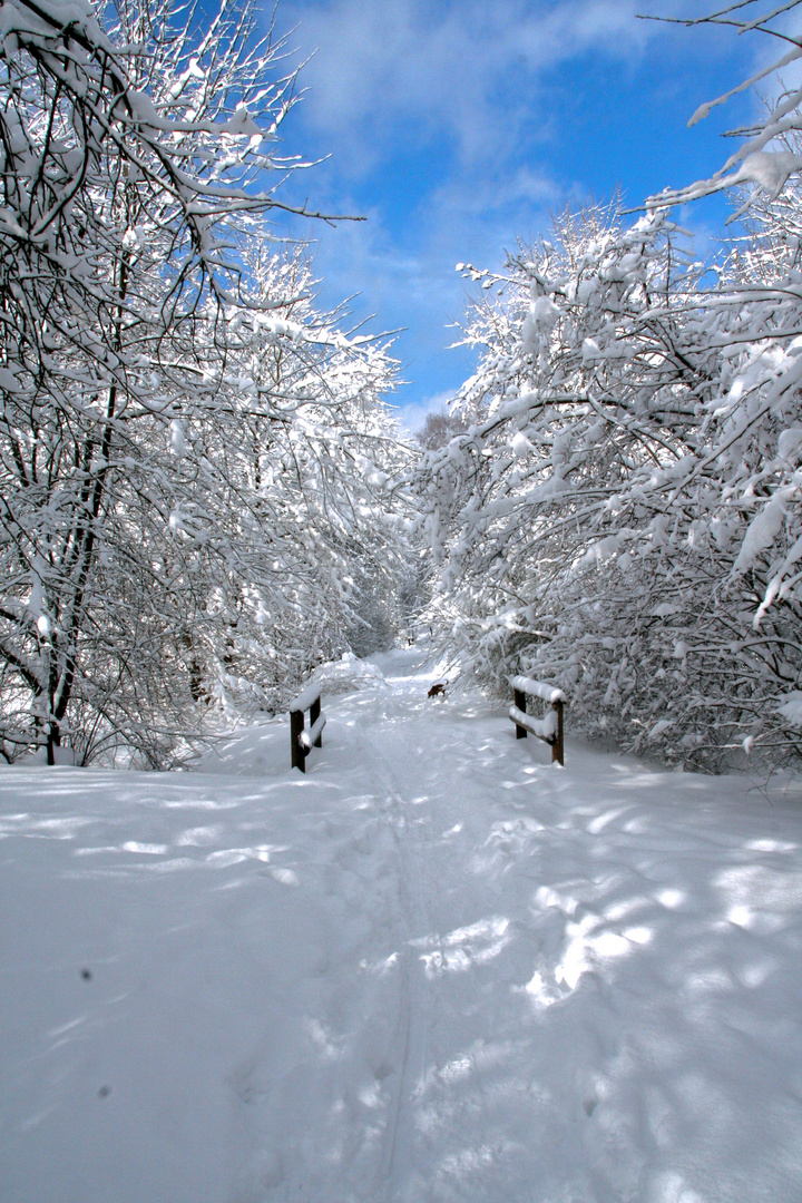 Schneelandschaft Foto & Bild  jahreszeiten, winter, natur Bilder auf 