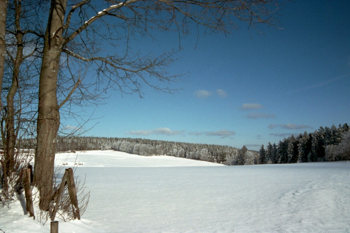 Schneelandschaft