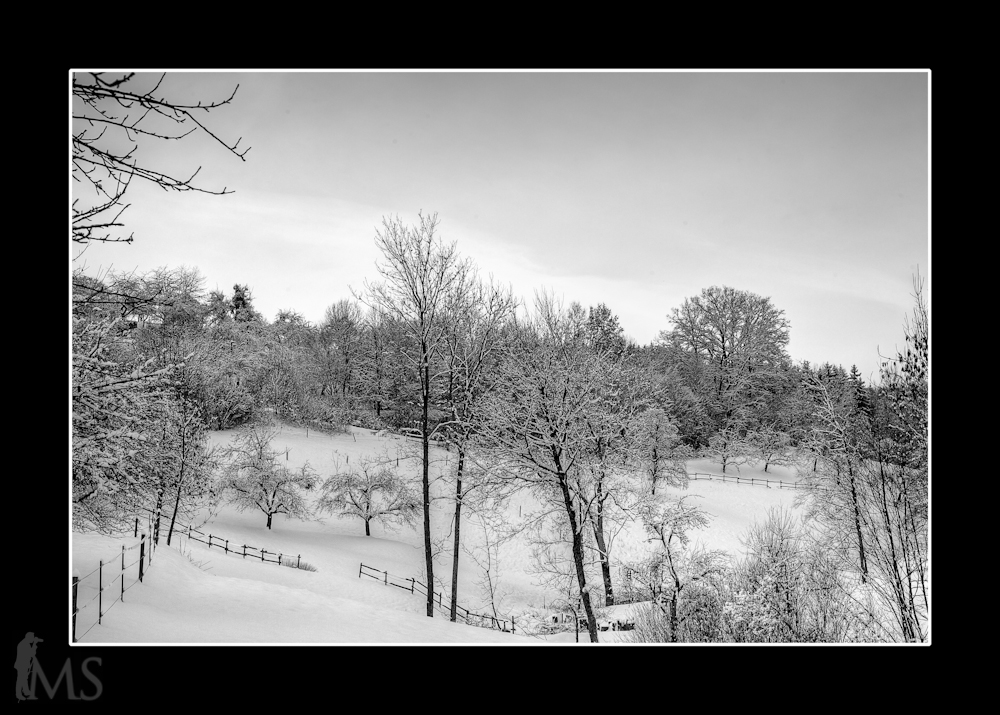 Schneelandschaft