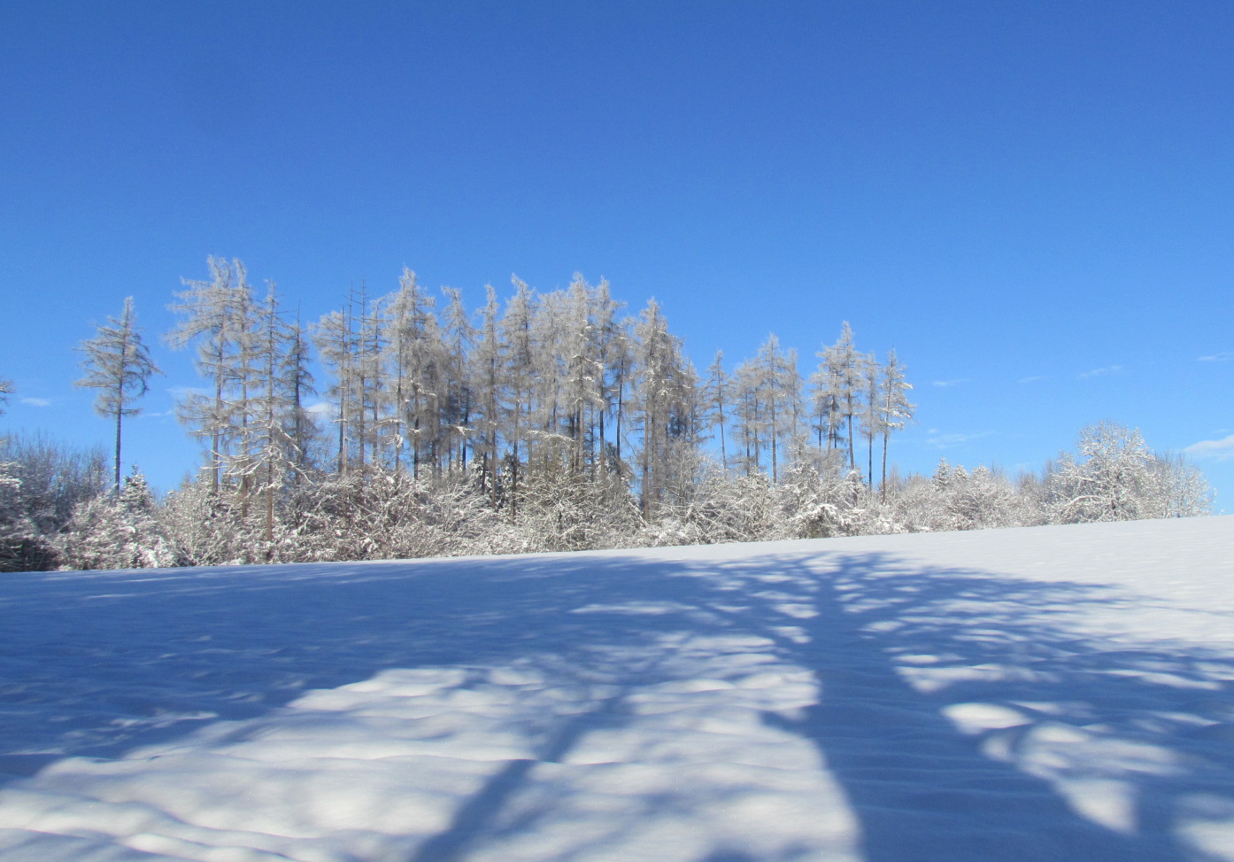 Schneelandschaft Foto & Bild landschaft, Äcker, felder & wiesen