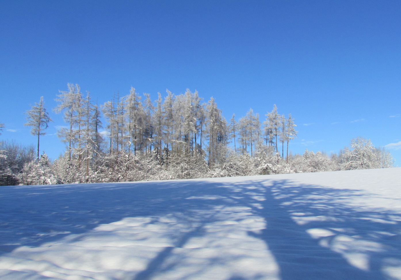 Schneelandschaft