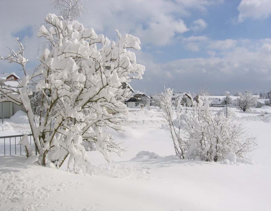 Schneelandschaft