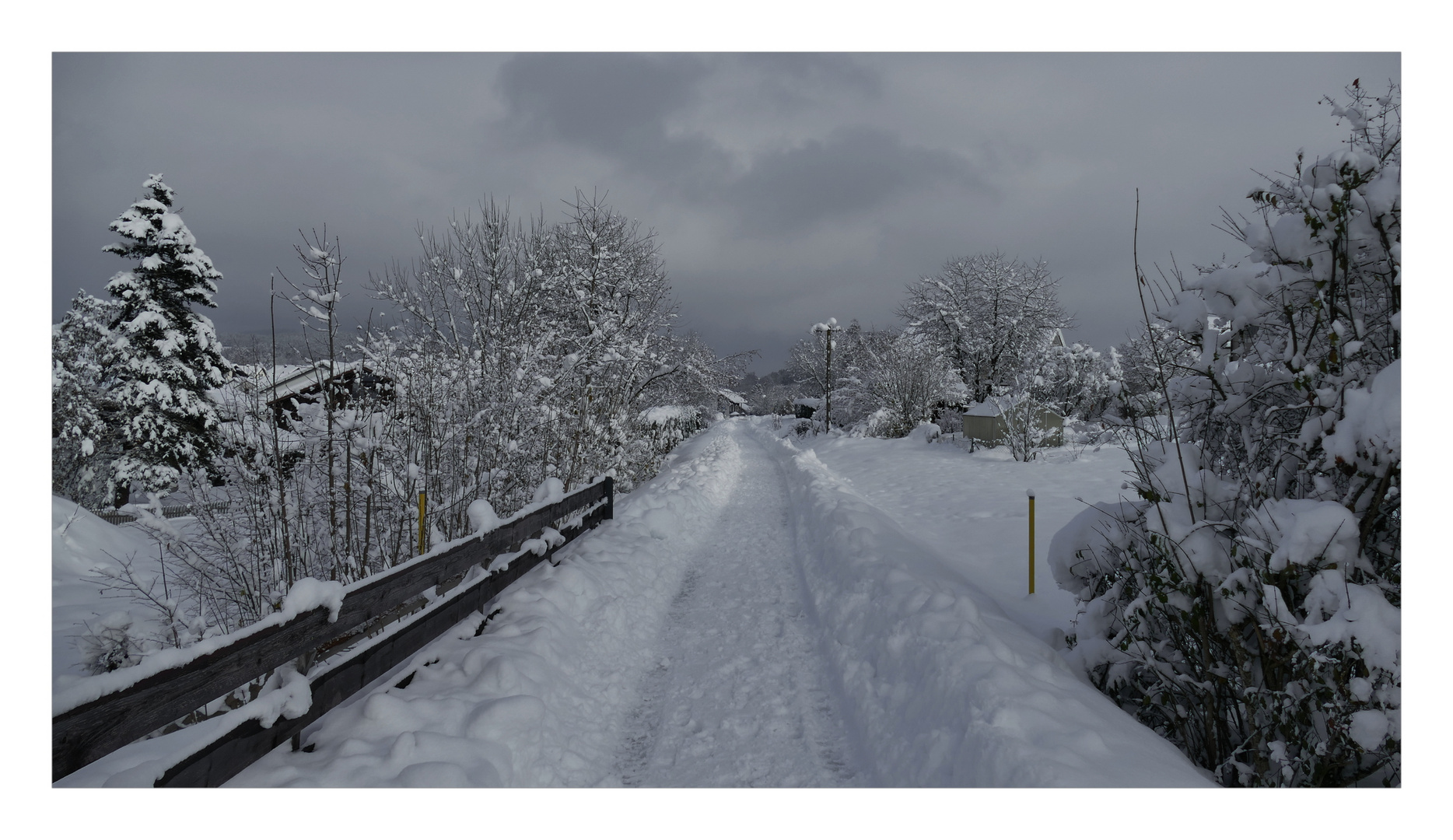 Schneelandschaft