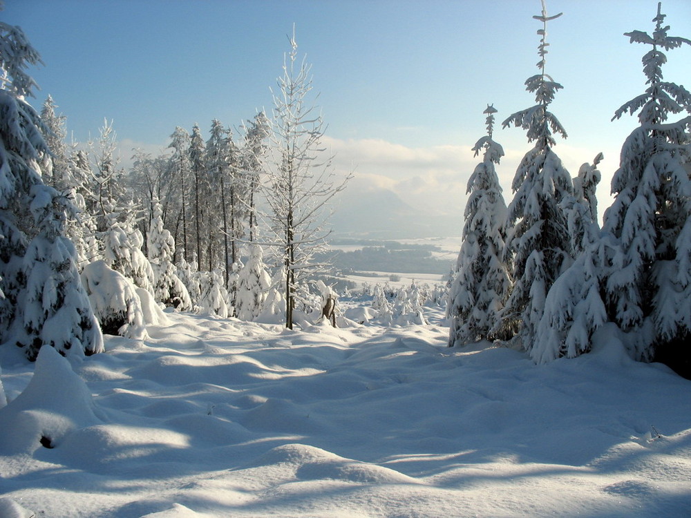 "Schneelandschaft" Foto & Bild  jahreszeiten, winter, natur Bilder auf 