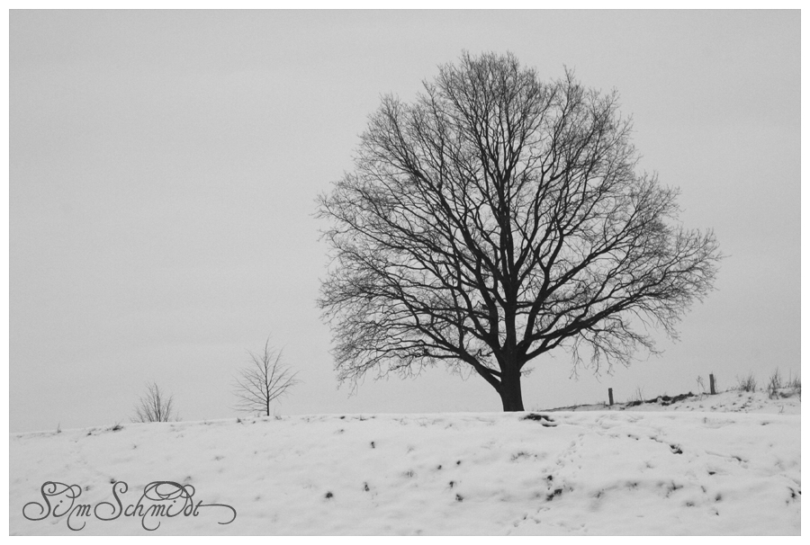 SCHNEELANDSCHAFT