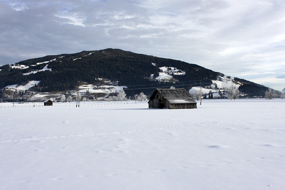 Schneelandschaft