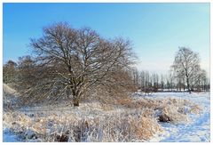 Schneelandschaft