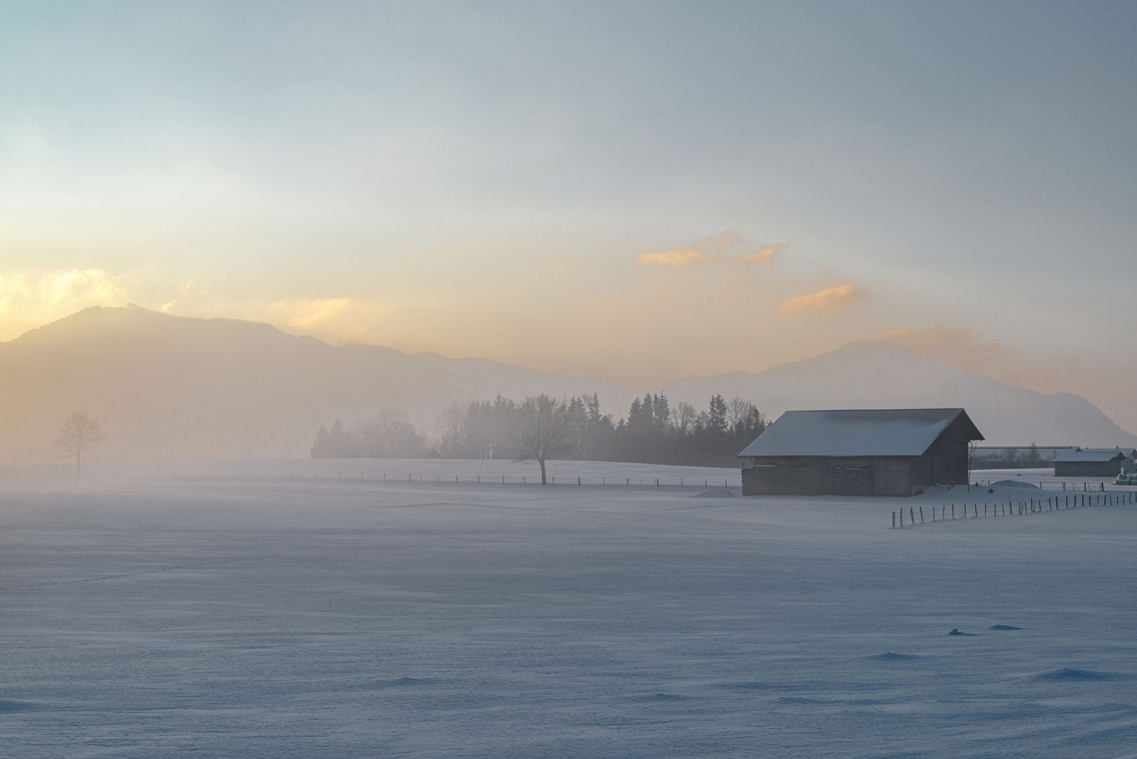 Schneelandschaft