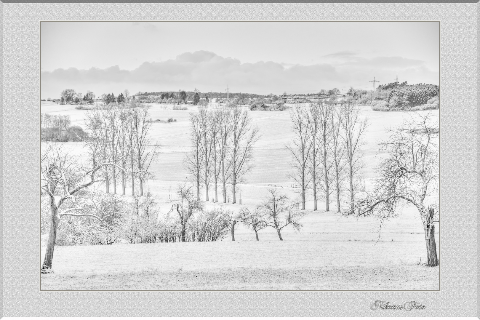 Schneelandschaft