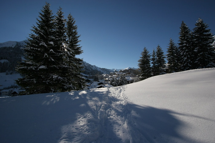 Schneelandschaft