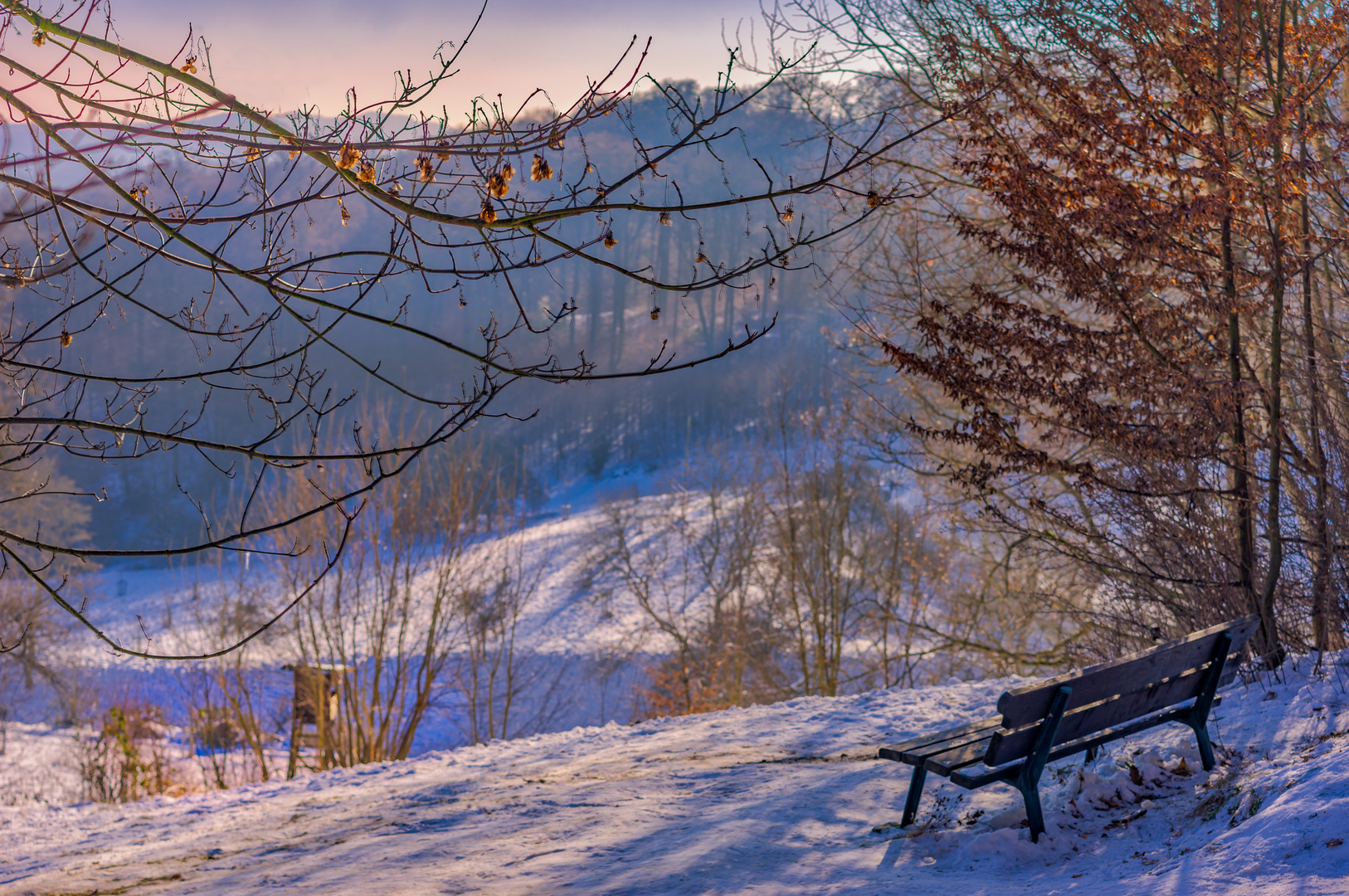 Schneelandschaft