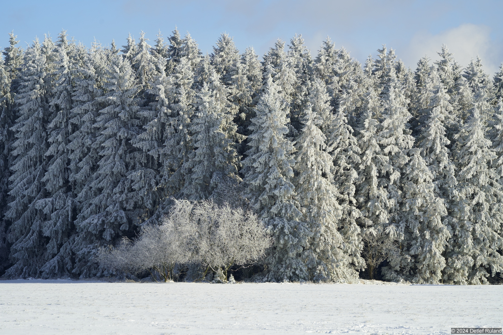 Schneelandschaft #5