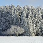 Schneelandschaft #5