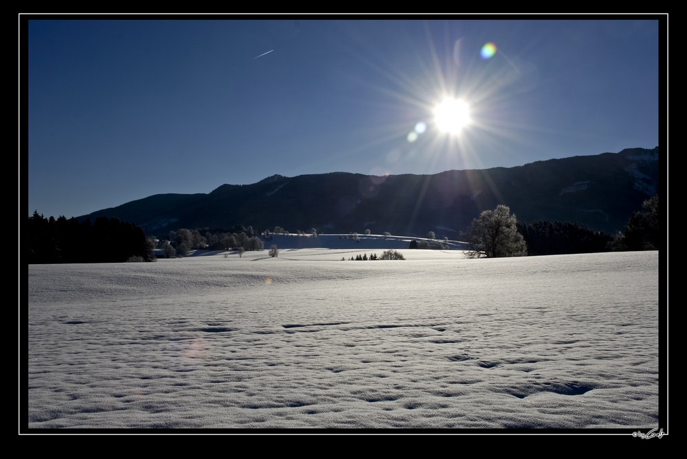 [ Schneelandschaft ]