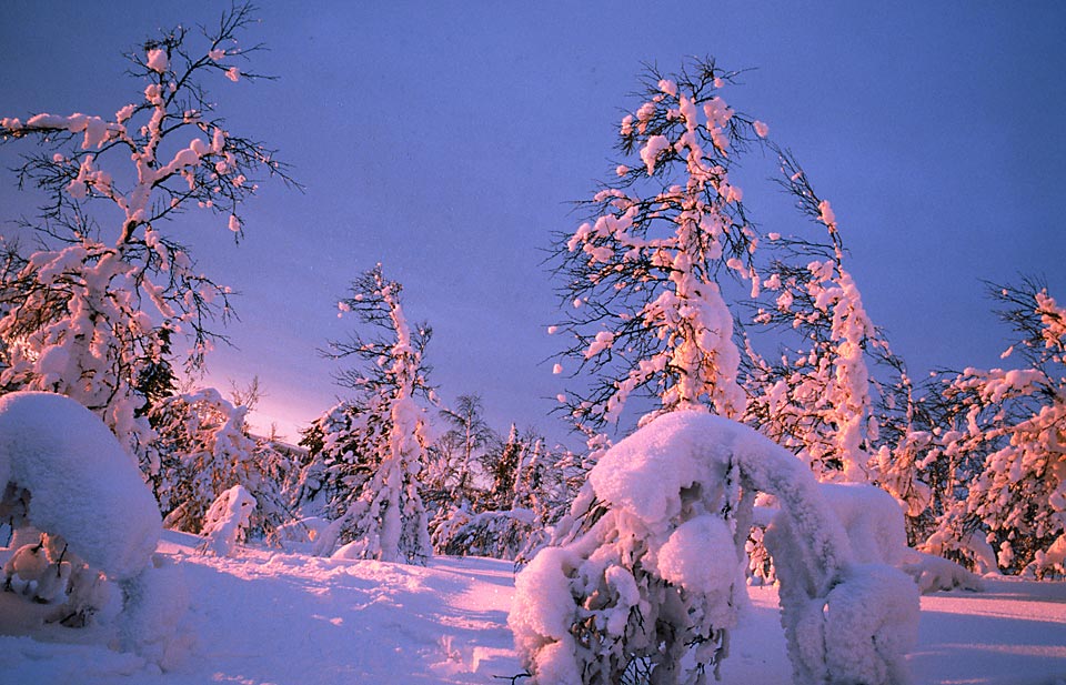 Schneelandschaft Foto & Bild  jahreszeiten, winter, natur Bilder auf 