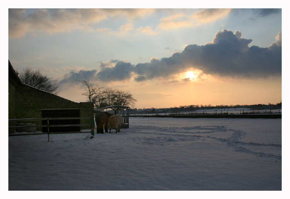 Schneelandschaft