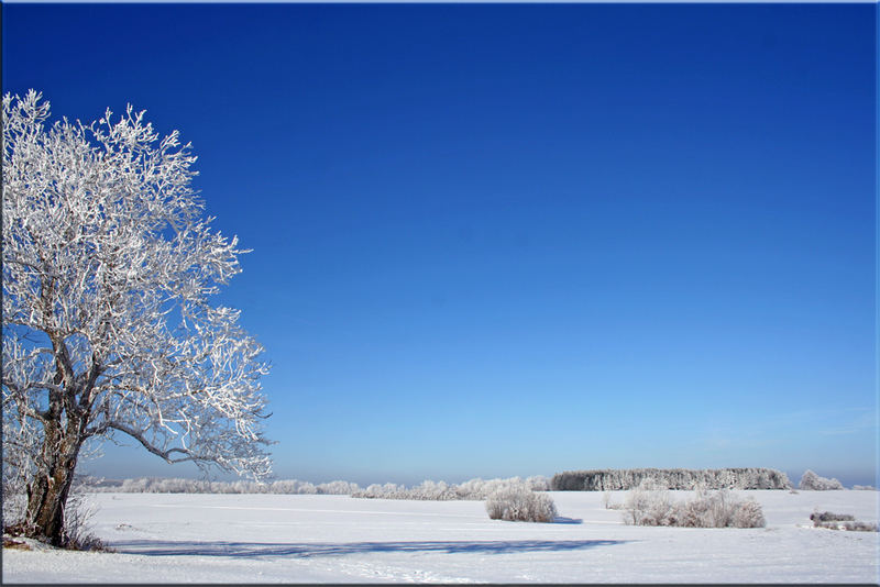 Schneelandschaft