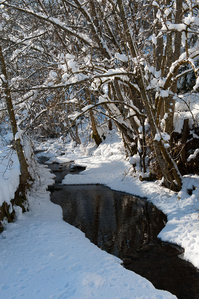 Schneelandschaft