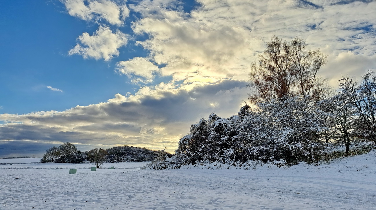 Schneelandschaft