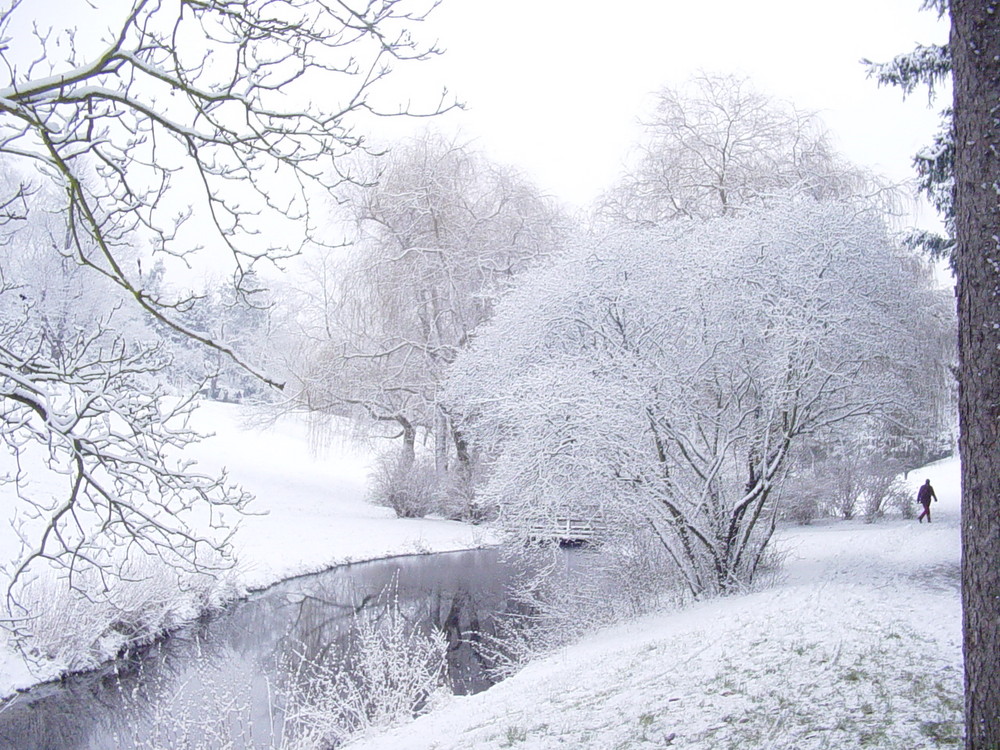 schneelandschaft