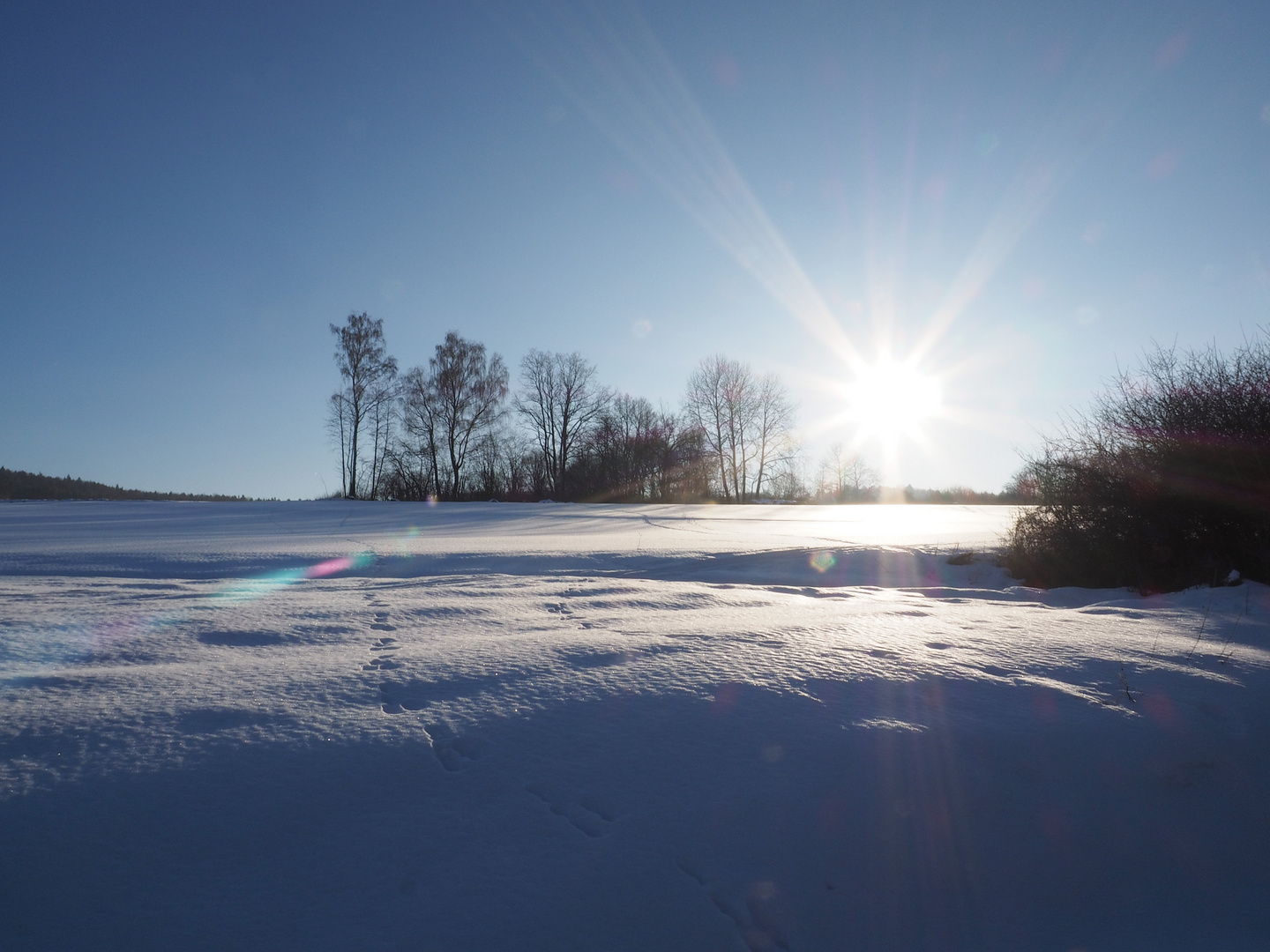 Schneelandschaft.